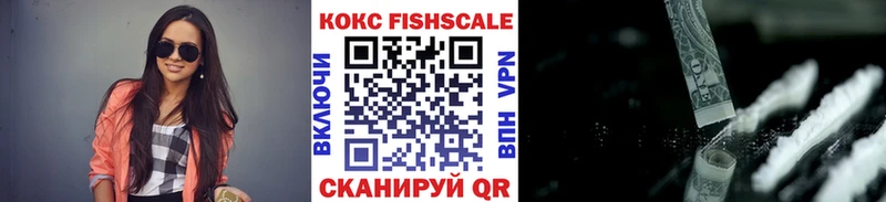 где найти   Кологрив  Cocaine Fish Scale 