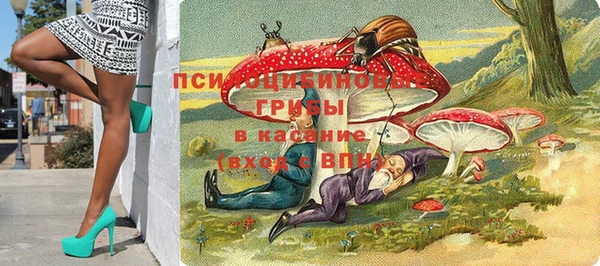 первитин Надым
