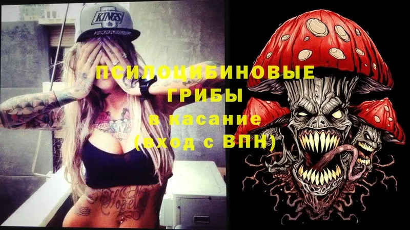 закладки  MEGA ONION  Галлюциногенные грибы Cubensis  Кологрив 