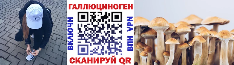 даркнет сайт  Кологрив  площадка какой сайт  Галлюциногенные грибы GOLDEN TEACHER 