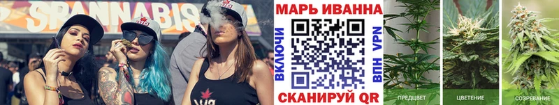 Конопля планчик  Кологрив 